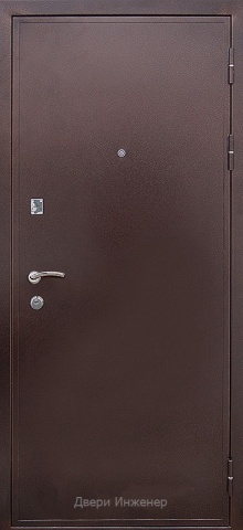 Порошковая дверь DR228